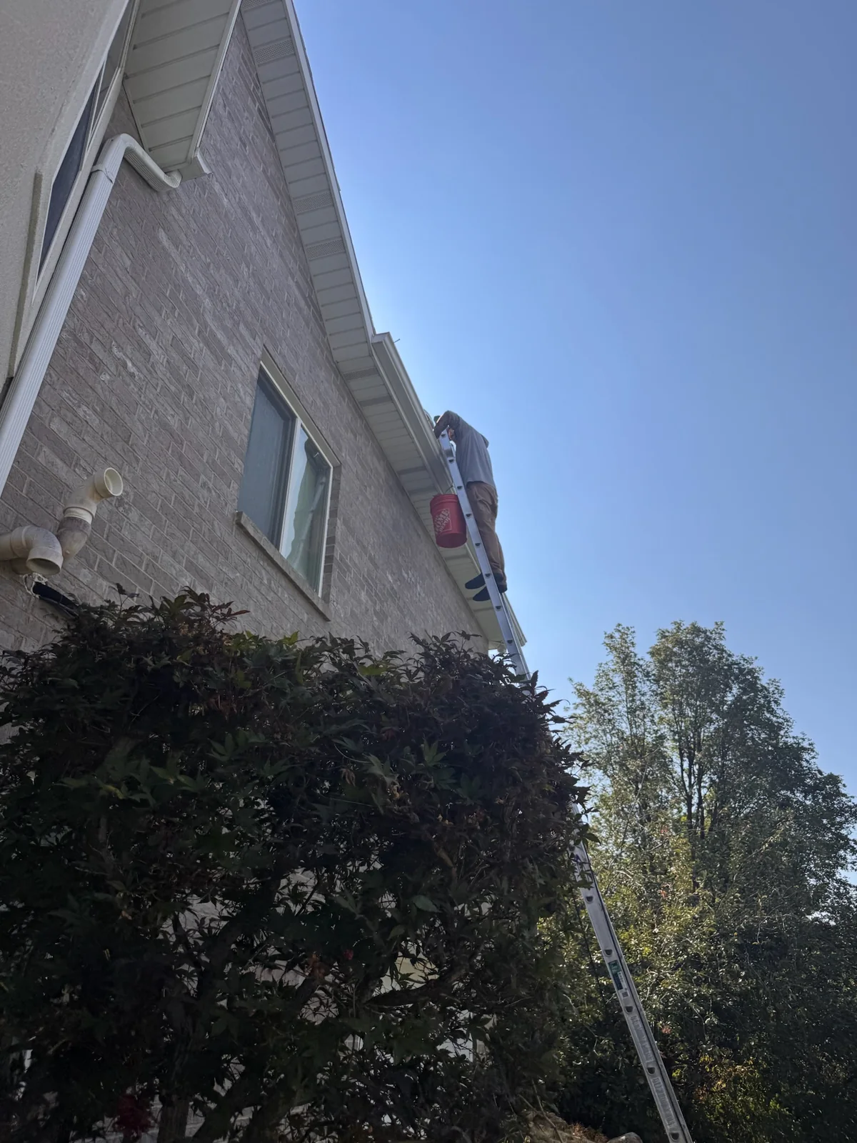 Gutter cleaning ladder work