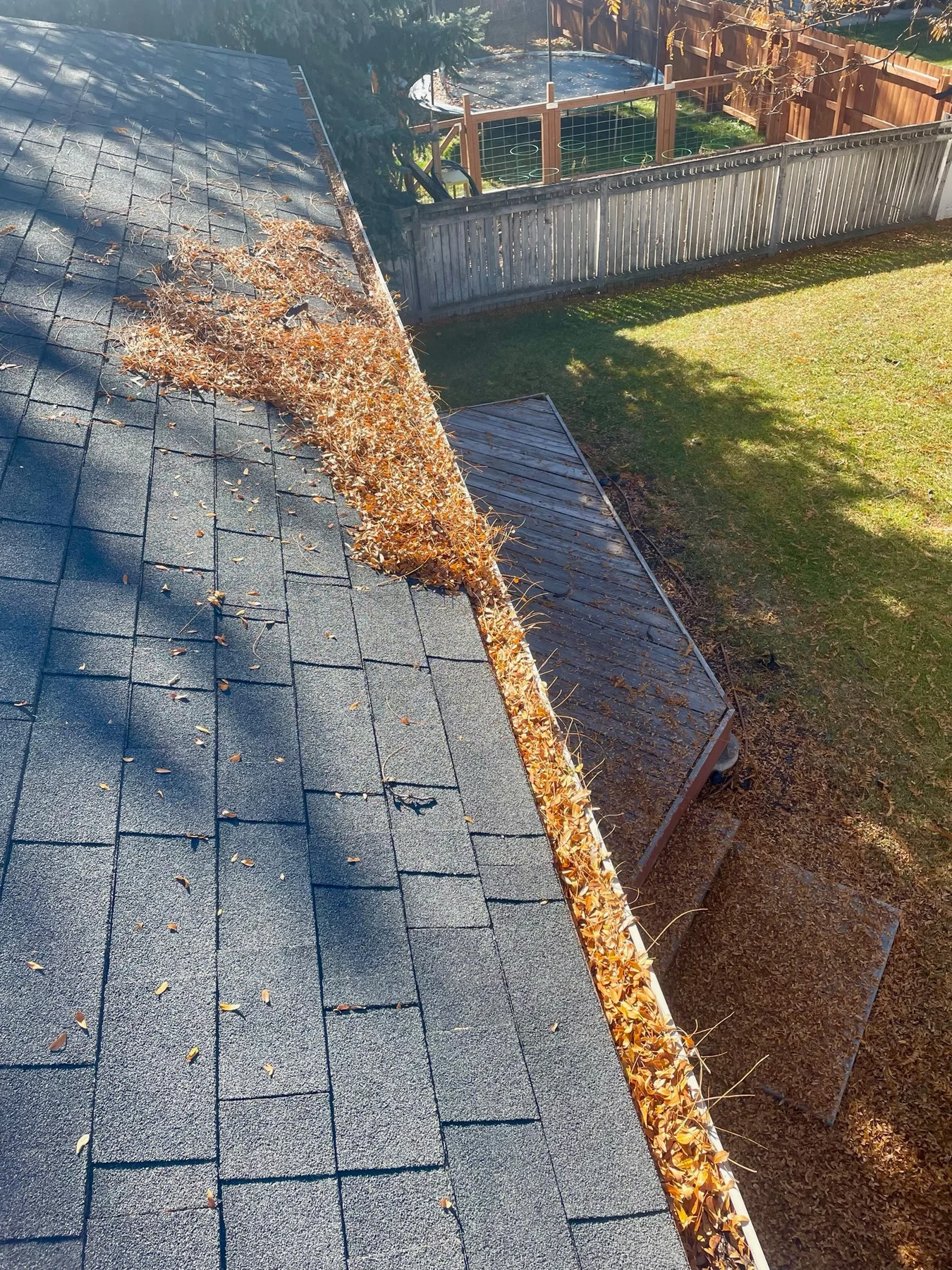 Gutter packed with leaves before Clearly Clean gutter cleaning